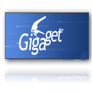 برنامج تنزيل الملفات من النت Gigaget Download Manager